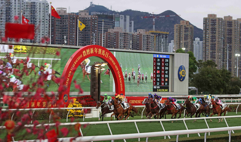 Hop on auspicious harbour tours to catch the Lucky Rabbit hiding on the ferry. (Photo Credit: Hong Kong Tourism Board)