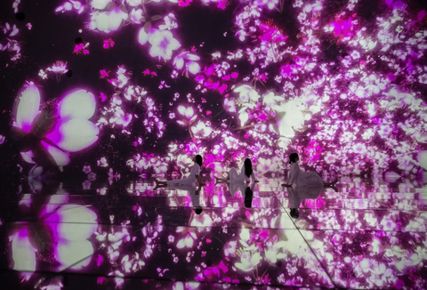 teamLab，漂浮于落花世界  © teamLab 