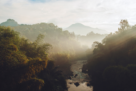 AstraZeneca announces $400 million investment in reforestation and biodiversity in support of climate action and human health (Photo: Wien Satriady)