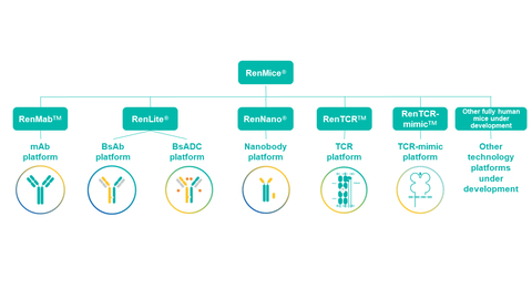 RenMice Series and Their Drug Discovery Applications (Graphic: Business Wire)