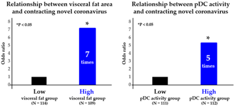 图2：内脏脂肪面积/pDC活性与感染新型冠状病毒的关系（图片：美国商业资讯）