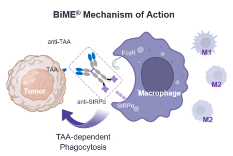 BiME® Mechanism of Action (Graphic: Business Wire)