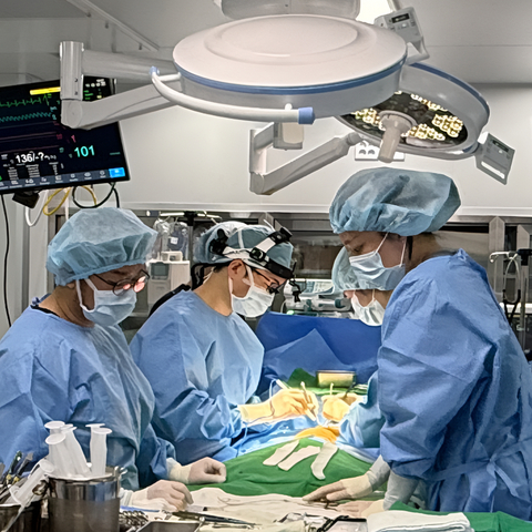 NEL Animal Cardiovascular Center’s medical staff performing surgical correction of a complex ventricular septal defect (VSD) in a canine patient (Photo: NEL Animal Cardiovascular Center)