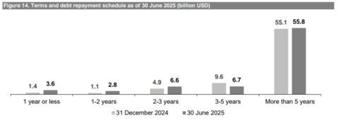 Figure 14. Terms and debt repayment schedule as of 30 June 2025 (billion USD)