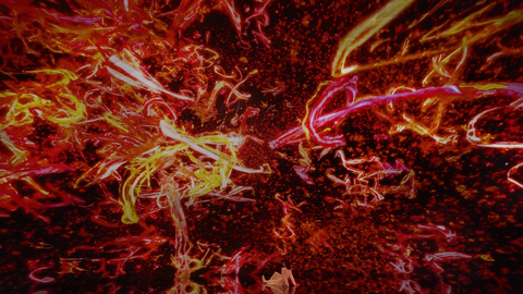 Created for the Prayer exhibition, this work was shown in private from April 25th to May 31st, 2021, during the state of emergency declared due to COVID-19. Spatial Calligraphy continues to be written for eternity in an infinitely expanding space. The sound of the characters echoes from each position in the calligraphy, and the combined sounds create a continuous chant. (teamLab, The Eternal Universe of Words © teamLab)