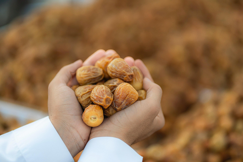 Buraidah Dates Carnival, Al Qassim, Buraidah, Kingdom of Saudi Arabia, 2025 (photo: AETOSWire)
