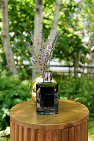 Intuition by ARAMIS Pop-Up at The High Line (Courtesy of BFA )