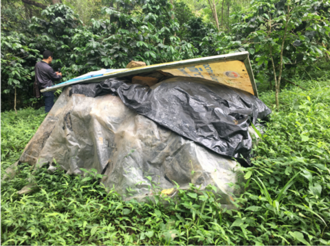 Discarded coffee cherry pulp and skins wrapped in plastic, left on the farm.