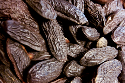 LMR的零陵香豆二氧化碳萃取原精 