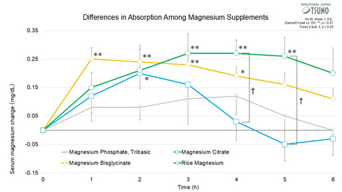 Tsuno Rice Fine Chemicals: Differences in Absorption Among Magnesium Supplements