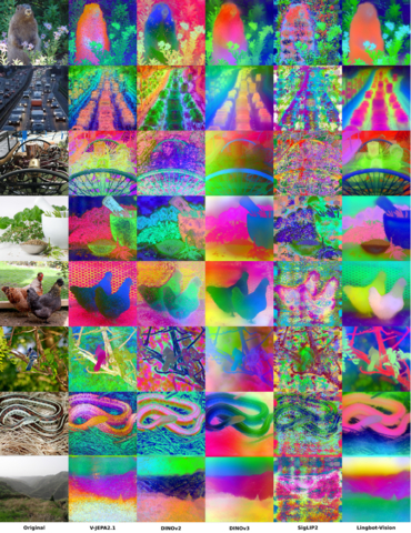 Comparison of object boundary and spatial structure recognition across major models. LingBot-Vision demonstrates superior clarity and stability.

