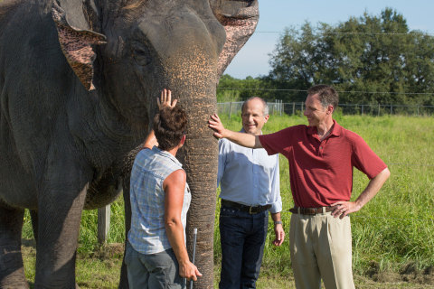 Ringling Bros. and Barnum & Bailey Center for Elephant Conservation® 動物管理經理Trudy Williams；Feld Entertainment董事長兼執行長Kenneth Feld；以及猶他州鹽湖城Primary Children’s Hospital兒童腫瘤科醫師、鹽湖城Huntsman 癌症研究所研究員Joshua Schiffman博士訪問位於佛羅里達州中部的Ringling Bros. Center for Elephant Conservation® 。（照片：Feld Entertainment）