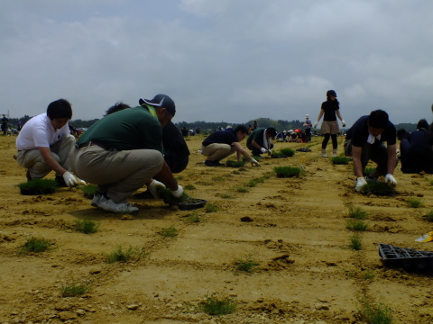 当地志愿者和Menicon员工在Soma Koyo足球场一起铺设草坪。（照片：美国商业资讯） 