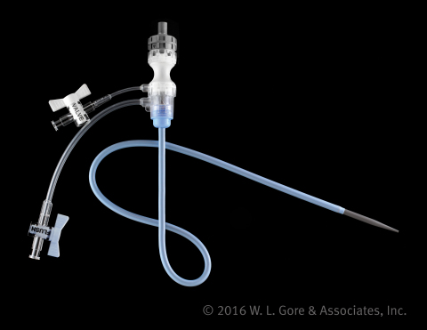 GORE® DrySeal Flex Introducer Sheath (Photo: Business Wire)