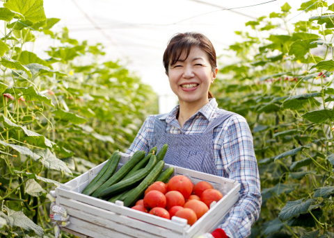 Greenhouse and walk-in tunnel cover films using Exceed™ XP produces extremely damage - resistant large lay-flat films that help farmers protect and grow their crops - throughout the year. (Photo: Business Wire)