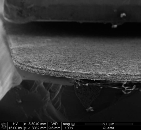 Edge of Enevate’s silicon-dominant anode magnified at 100X. Enevate’s self-standing monolithic anode enables Li-ion batteries with both ultrafast charging and high energy density. (Photo: Business Wire)