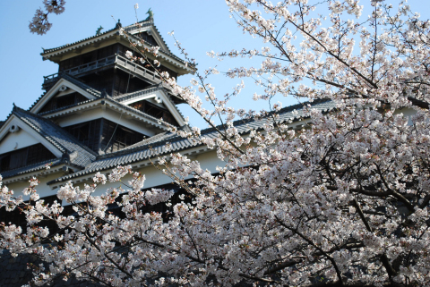 Kumamoto Prefecture (Kumamoto Castle) (Photo: Business Wire)
