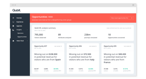 Qubit ML empowers marketers by automatically identifying and prioritizing customer groups by their largest revenue opportunities. (Graphic: Business Wire)